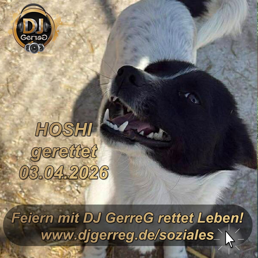 HOSHI sauvé d'un refuge pour animaux - Un miracle de Pâques
