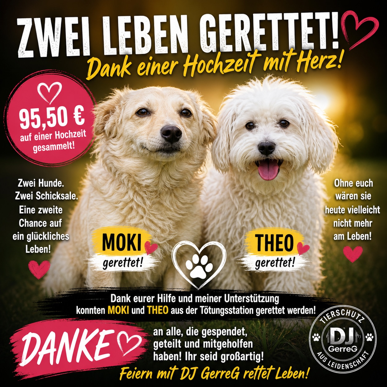 Fêtez avec le cœur - DJ GerreG sauve deux chiens d'un chenil d'euthanasie - grâce aux invités du mariage